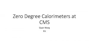 Zero Degree Calorimeters at CMS Quan Wang KU