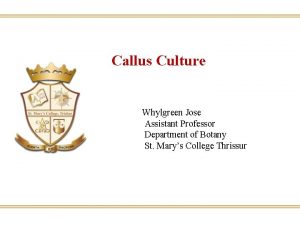 Callus Culture Whylgreen Jose Assistant Professor Department of