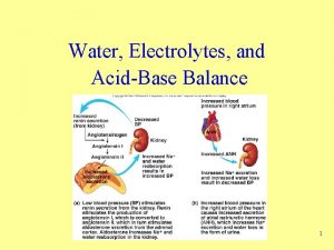 Water Electrolytes and AcidBase Balance 1 Body Fluids