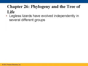 Chapter 26 Phylogeny and the Tree of Life