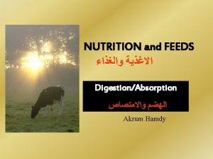 NUTRITION and FEEDS DigestionAbsorption Akrum Hamdy So whats