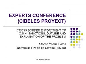 EXPERTS CONFERENCE CIBELES PROYECT CROSS BORDER ENFORCMENT OF
