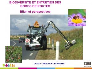 BIODIVERSITE ET ENTRETIEN DES BORDS DE ROUTES Bilan