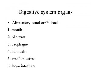 Digestive system organs Alimentary canal or GI tract