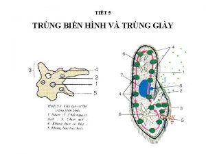 TIT 5 TRNG BIN HNH V TRNG GIY