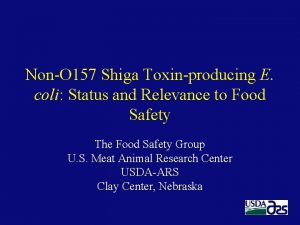 NonO 157 Shiga Toxinproducing E coli Status and