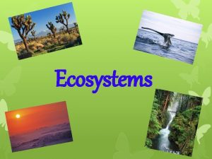 Ecosystems What is an ecosystem An ecosystem short