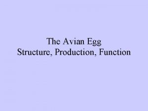 The Avian Egg Structure Production Function Topics Anatomy