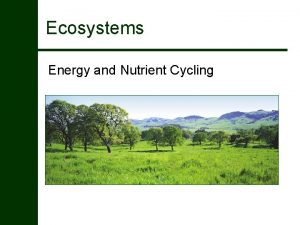 Ecosystems Energy and Nutrient Cycling Outline I Ecosystems
