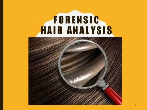 FORENSIC HAIR ANALYSIS 1 INTRODUCTION A hair without