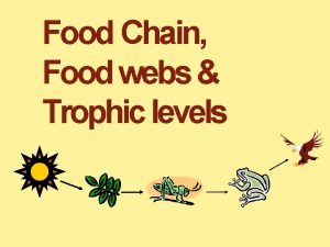 Food Chain Food webs Trophic levels Functions of
