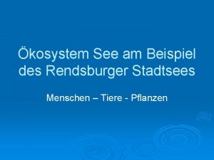 kosystem See am Beispiel des Rendsburger Stadtsees Menschen