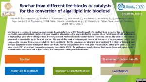 Biochar from different feedstocks as catalysts for the