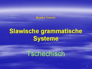 Branko Toovi Slawische grammatische Systeme Tschechisch 1 TSCHECHISCH