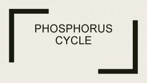 PHOSPHORUS CYCLE Definition The phosphorus cycle is the