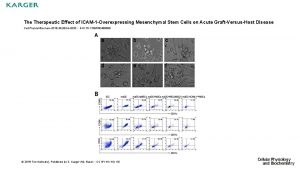 The Therapeutic Effect of ICAM1 Overexpressing Mesenchymal Stem