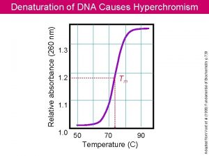 Relative absorbance 260 nm 1 3 1 2