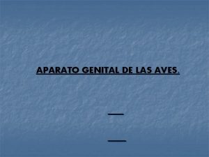 APARATO GENITAL DE LAS AVES APARATO GENITAL DE