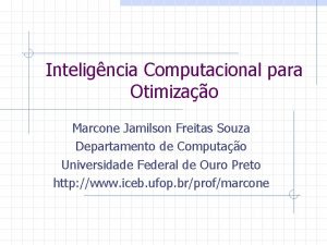 Inteligncia Computacional para Otimizao Marcone Jamilson Freitas Souza