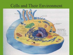 Cells and Their Environment Chapter 4 p 74