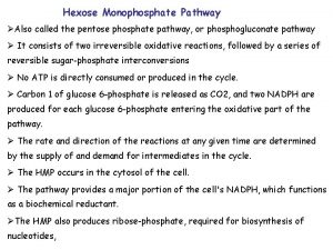 Hexose Monophosphate Pathway Also called the pentose phosphate