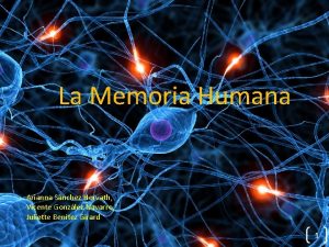 La Memoria Humana Arianna Snchez Horvath Vicente Gonzlez