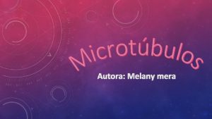 Autora Melany mera Qu son los microtbulos Los