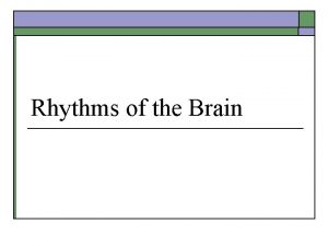 Rhythms of the Brain Types of Rhythms o