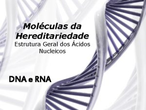 Molculas da Hereditariedade Estrutura Geral dos cidos Nucleicos