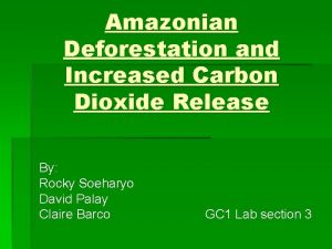 Amazonian Deforestation and Increased Carbon Dioxide Release By