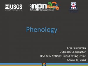 Phenology Erin Posthumus Outreach Coordinator USANPN National Coordinating