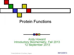 Protein Functions Andy Howard Introductory Biochemistry Fall 2013