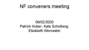 NF conveners meeting 09022020 Patrick Huber Kate Scholberg