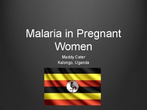 Malaria in Pregnant Women Maddy Cater Kalongo Uganda