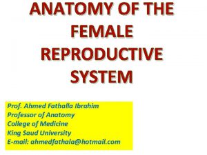 ANATOMY OF THE FEMALE REPRODUCTIVE SYSTEM Prof Ahmed