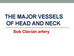 THE MAJOR VESSELS OF HEAD AND NECK Sub