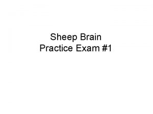 Sheep Brain Practice Exam 1 Name the following