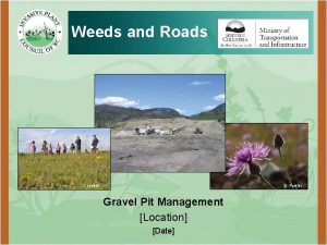 Weeds and Roads J Leekie D Polster Gravel