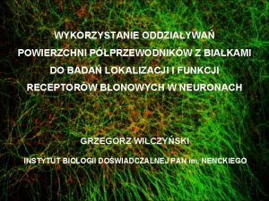 WYKORZYSTANIE ODDZIAYWA POWIERZCHNI PPRZEWODNIKW Z BIAKAMI DO BADA