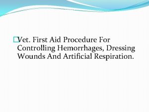 Vet First Aid Procedure For Controlling Hemorrhages Dressing