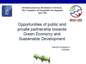 INTERNATIONAL BUSINESS COUNCIL The Committee on Sustainable Development