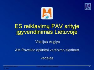 ES reiklavim PAV srityje gyvendinimas Lietuvoje Vitalijus Auglys