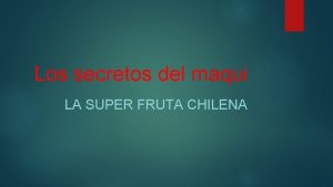 Los secretos del maqui LA SUPER FRUTA CHILENA