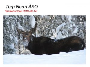 Torp Norra SO Samrdsmte 2018 08 14 Styrgrupp