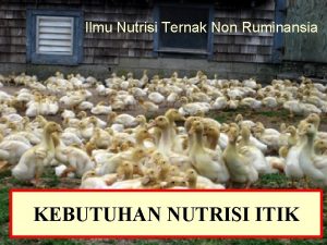 Ilmu Nutrisi Ternak Non Ruminansia KEBUTUHAN NUTRISI ITIK