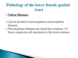 Pathology of the lower female genital tract Vulvar