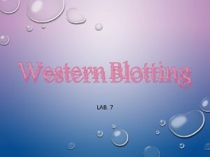Western Blotting LAB 7 Introduction Blotting is a