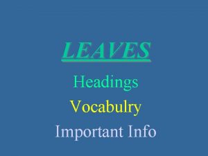 LEAVES Headings Vocabulry Important Info Leaves 1 Function