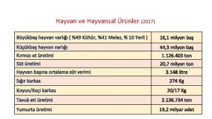 Hayvan ve Hayvansal rnler 2017 Bykba hayvan varl