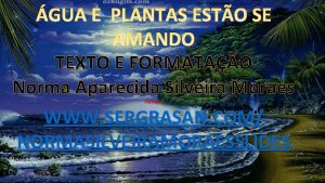 TEXTO E FORMATAO Norma Aparecida Silveira Moraes WWW